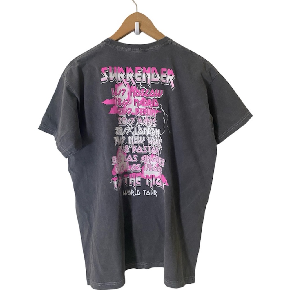 [PLT] World Tour Surrender Graphic Washed T Shirt - Picture 3 of 6